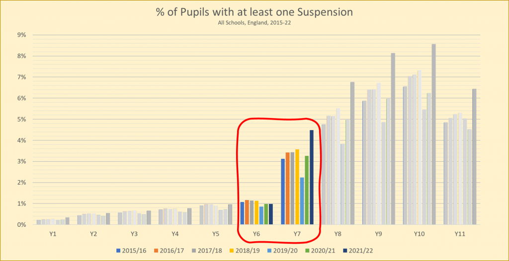 School suspension rates by year group (2015-21)